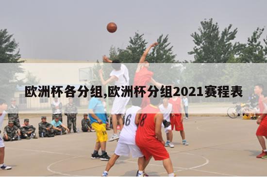 欧洲杯各分组,欧洲杯分组2021赛程表